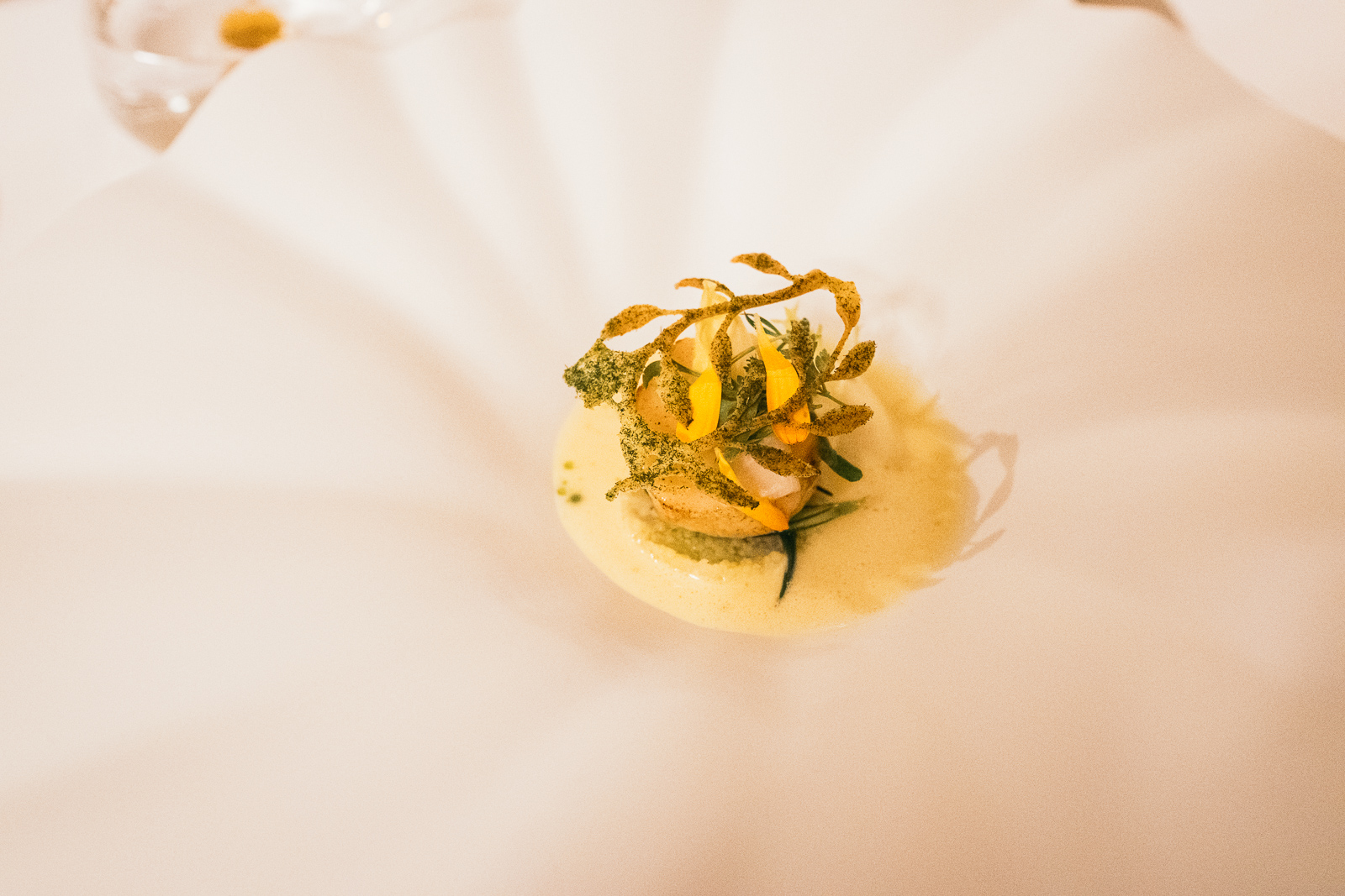 17022024-DSCF0408 17022024-DSCF0408