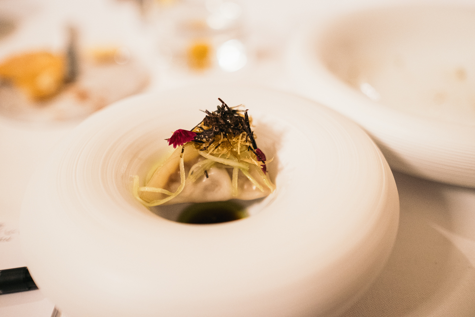 17022024-DSCF0435 17022024-DSCF0435