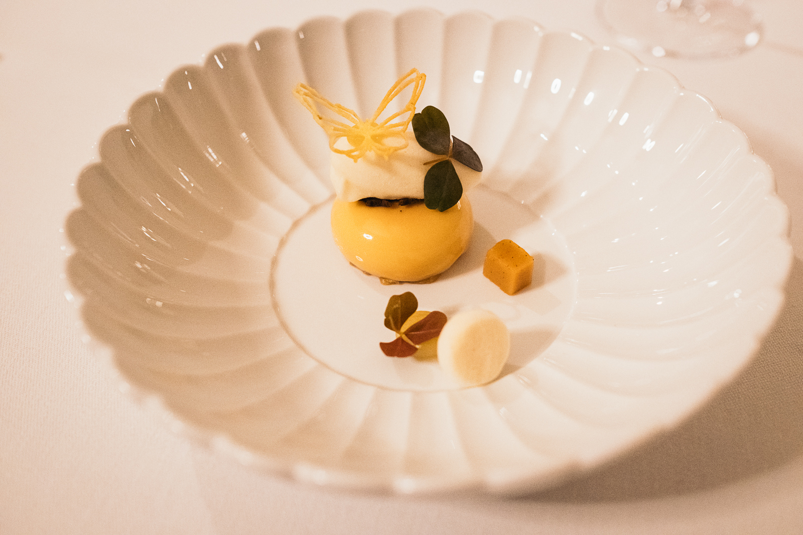 18022024-DSCF0486 18022024-DSCF0486